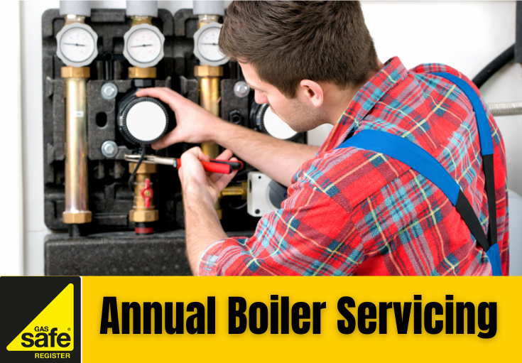 annual boiler servicing Belvedere